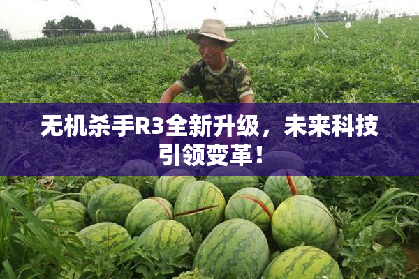无机杀手R3全新升级，未来科技引领变革！