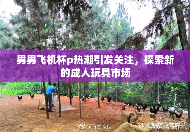 男男飞机杯p热潮引发关注，探索新的成人玩具市场