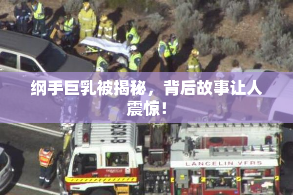 纲手巨乳被揭秘，背后故事让人震惊！