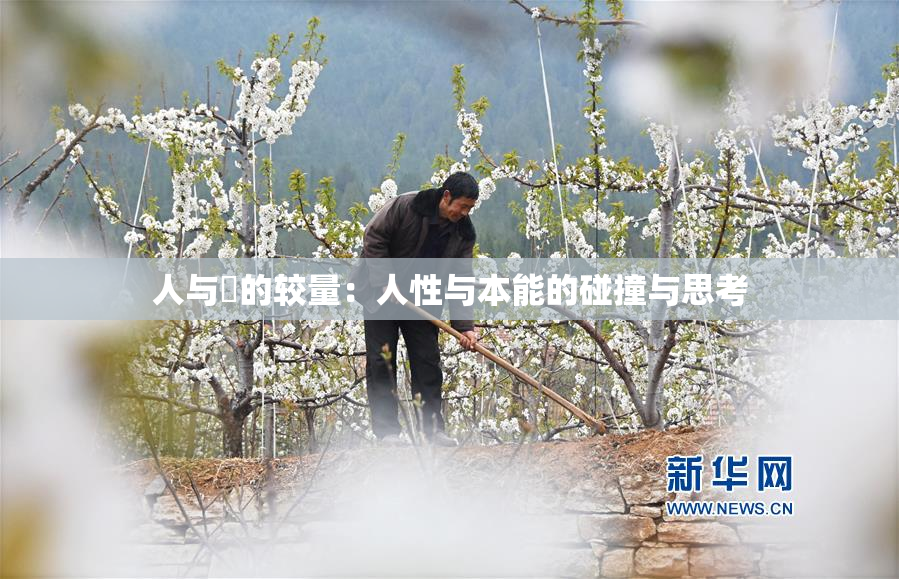 人与嘼的较量：人性与本能的碰撞与思考