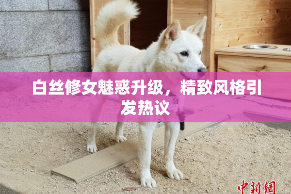 白丝修女魅惑升级，精致风格引发热议