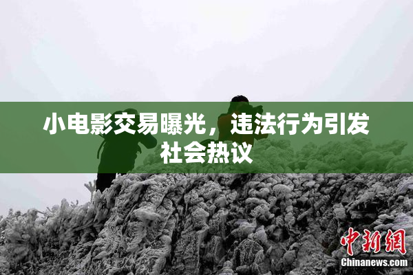 小电影交易曝光，违法行为引发社会热议