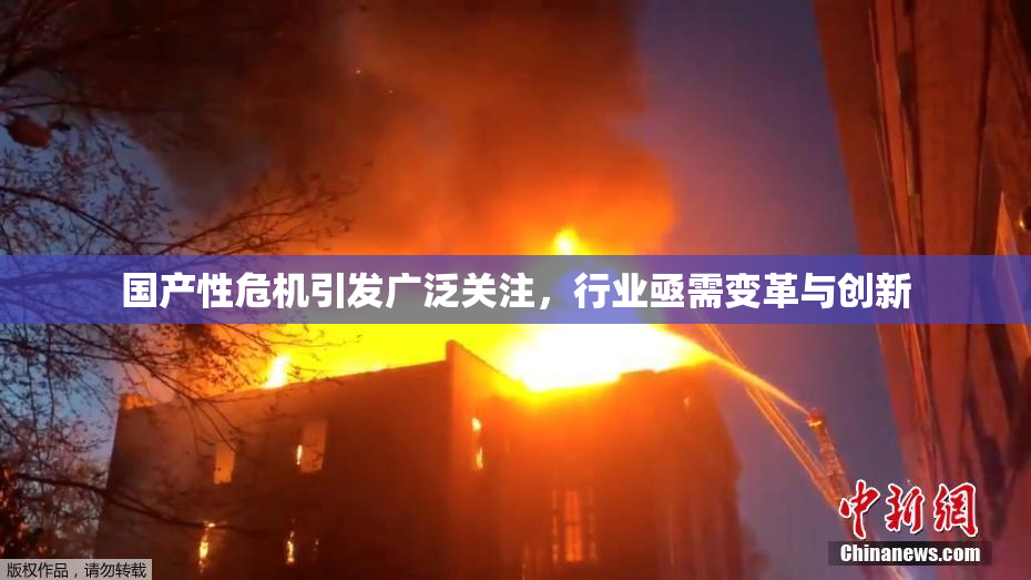 国产性危机引发广泛关注，行业亟需变革与创新