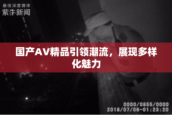 国产AV精品引领潮流，展现多样化魅力