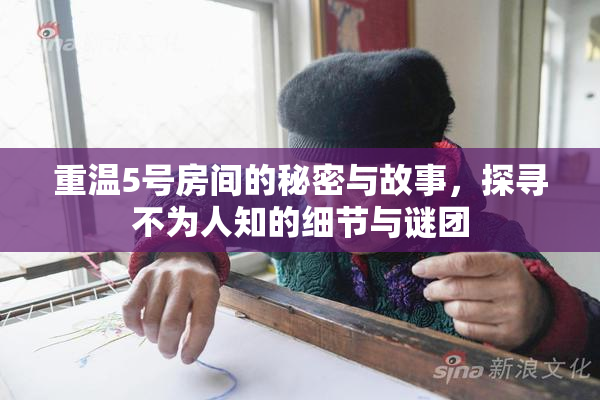 重温5号房间的秘密与故事，探寻不为人知的细节与谜团