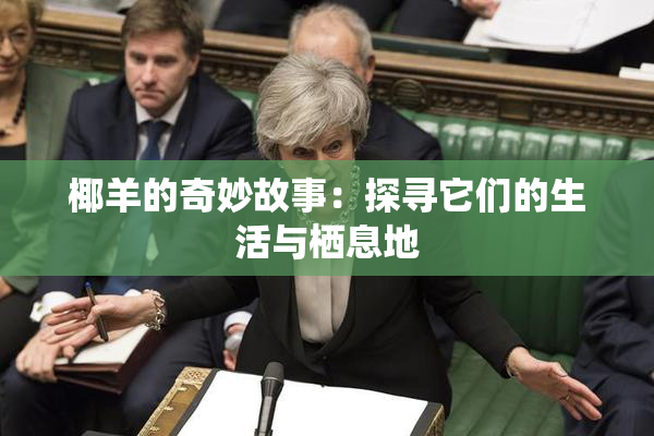 椰羊的奇妙故事：探寻它们的生活与栖息地