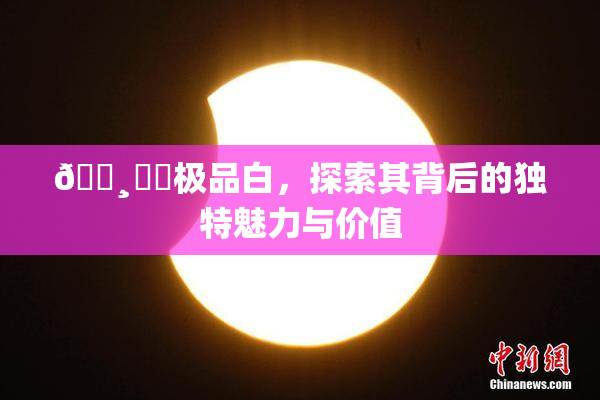 🌸‌✿极品白，探索其背后的独特魅力与价值
