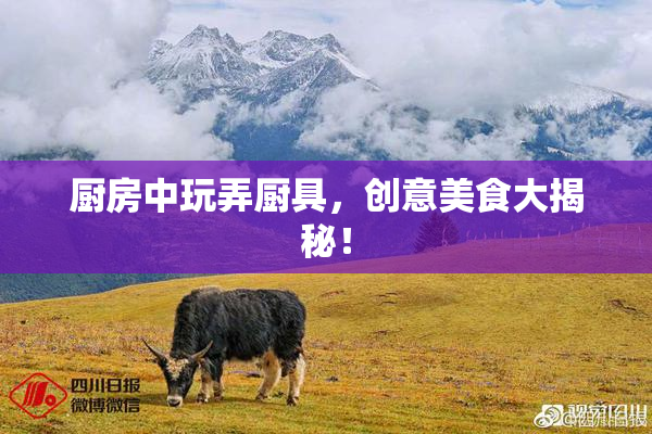 厨房中玩弄厨具，创意美食大揭秘！