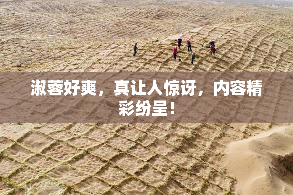 淑蓉好爽，真让人惊讶，内容精彩纷呈！