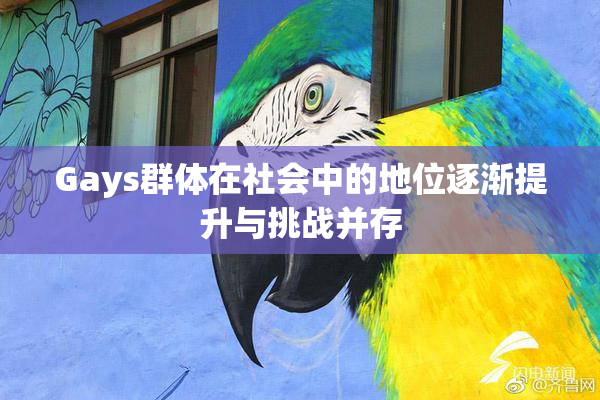 Gays群体在社会中的地位逐渐提升与挑战并存