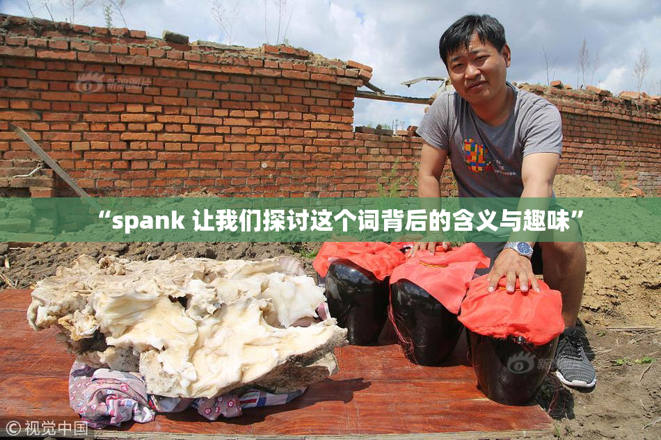 “spank 让我们探讨这个词背后的含义与趣味”