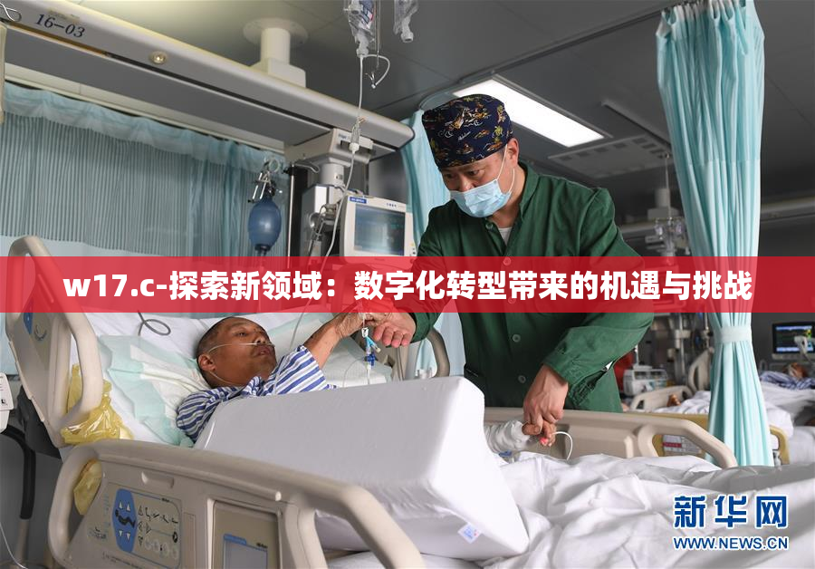 w17.c-探索新领域：数字化转型带来的机遇与挑战