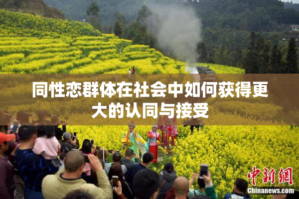 同性恋群体在社会中如何获得更大的认同与接受