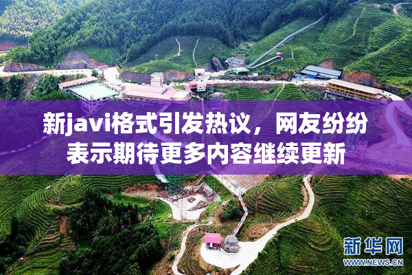 新javi格式引发热议，网友纷纷表示期待更多内容继续更新