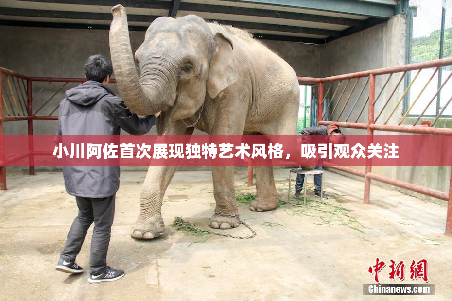 小川阿佐首次展现独特艺术风格，吸引观众关注