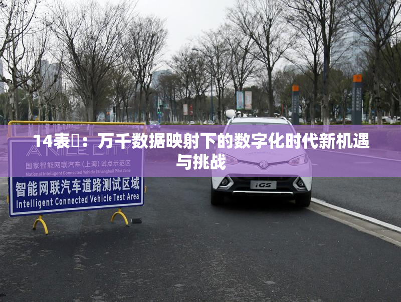 14表妺：万千数据映射下的数字化时代新机遇与挑战