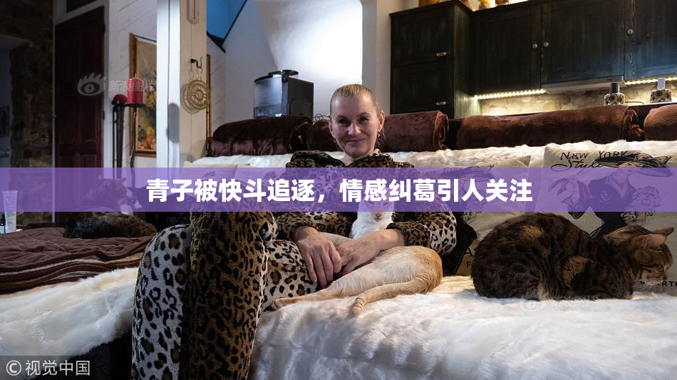 青子被快斗追逐，情感纠葛引人关注