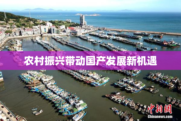 农村振兴带动国产发展新机遇