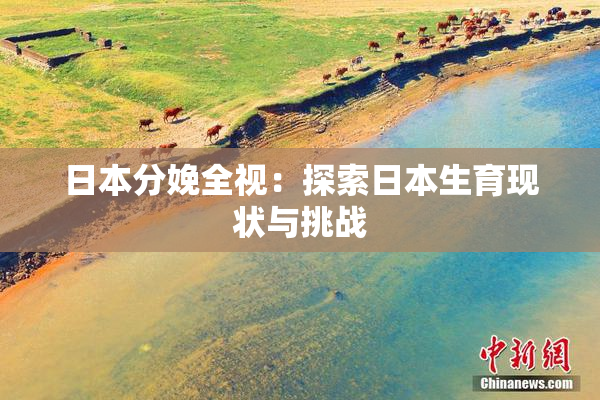 日本分娩全视：探索日本生育现状与挑战