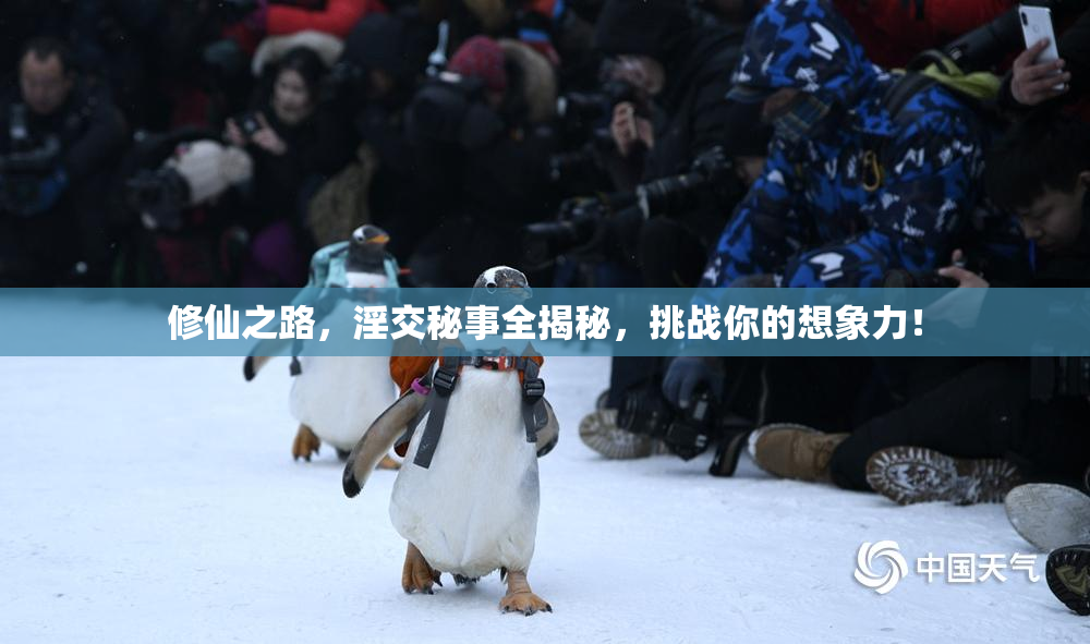 修仙之路，淫交秘事全揭秘，挑战你的想象力！