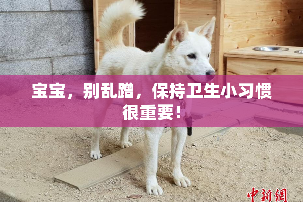 宝宝，别乱蹭，保持卫生小习惯很重要！