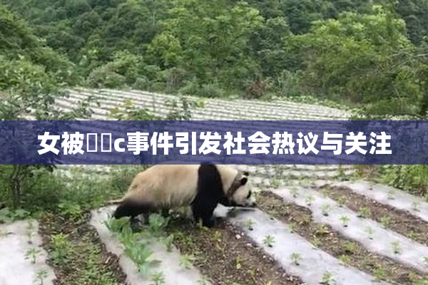 女被❌‌c事件引发社会热议与关注