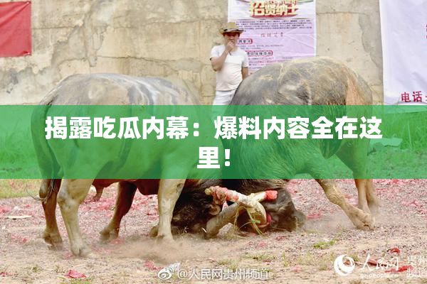 揭露吃瓜内幕：爆料内容全在这里！