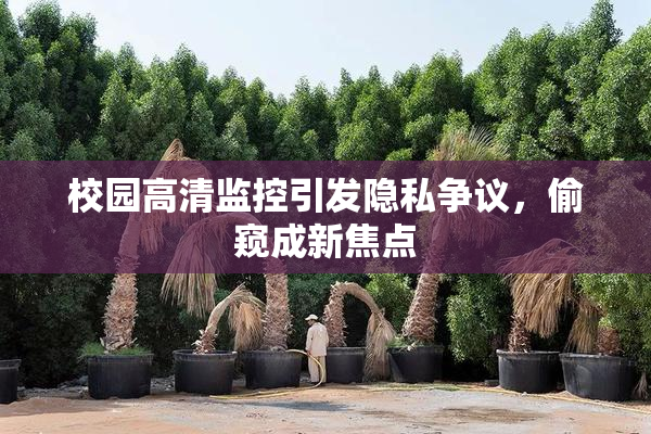 校园高清监控引发隐私争议，偷窥成新焦点