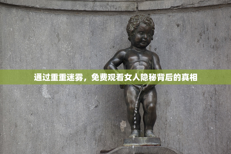 通过重重迷雾，免费观看女人隐秘背后的真相