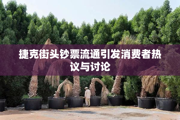 捷克街头钞票流通引发消费者热议与讨论