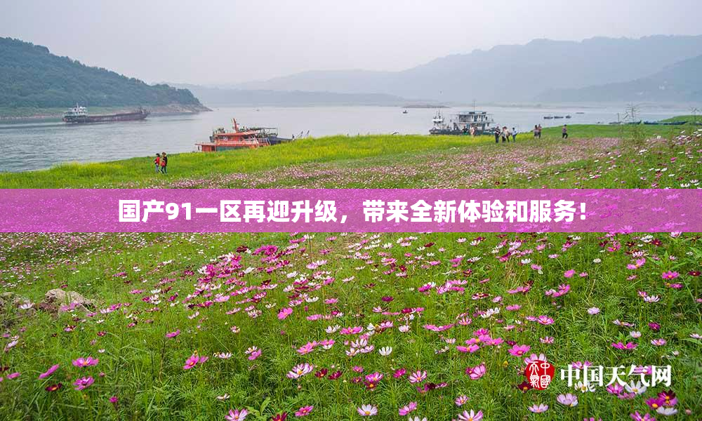 国产91一区再迎升级，带来全新体验和服务！