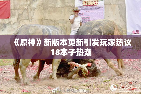 《原神》新版本更新引发玩家热议18本子热潮