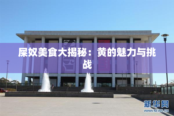 屎奴美食大揭秘：黄的魅力与挑战