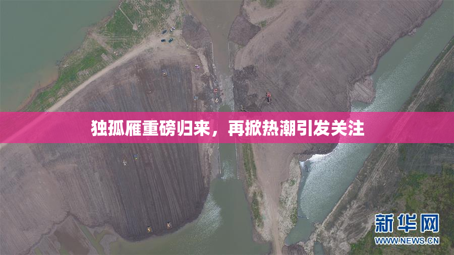 独孤雁重磅归来，再掀热潮引发关注