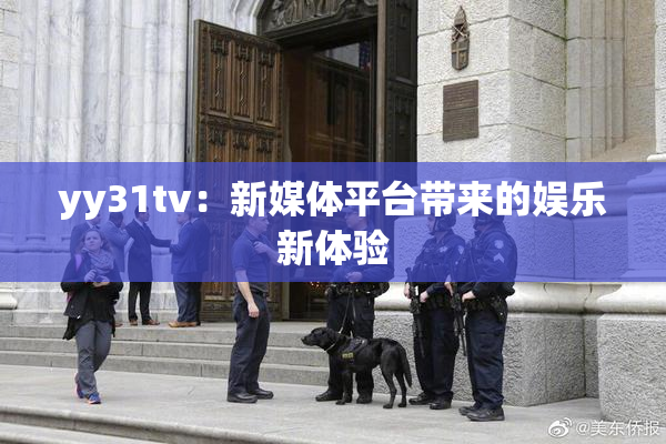 yy31tv：新媒体平台带来的娱乐新体验