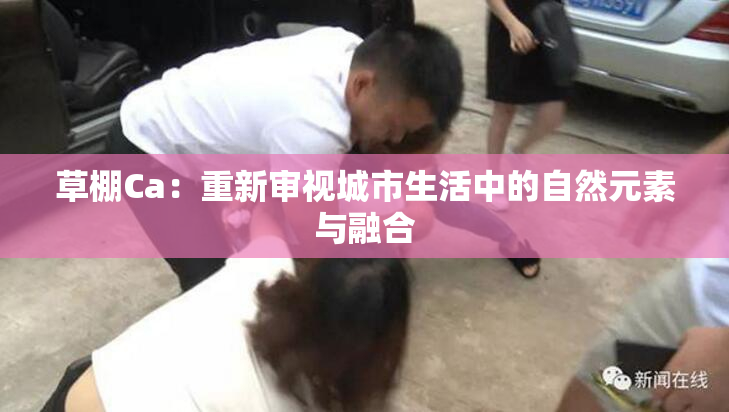 草棚Ca：重新审视城市生活中的自然元素与融合