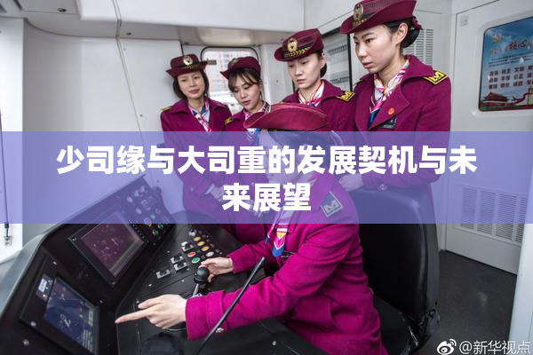 少司缘与大司重的发展契机与未来展望