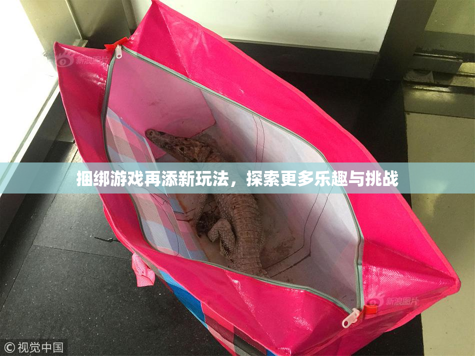捆绑游戏再添新玩法，探索更多乐趣与挑战