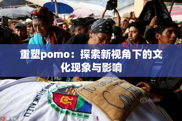 重塑pomo：探索新视角下的文化现象与影响