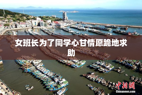 女班长为了同学心甘情愿跪地求助