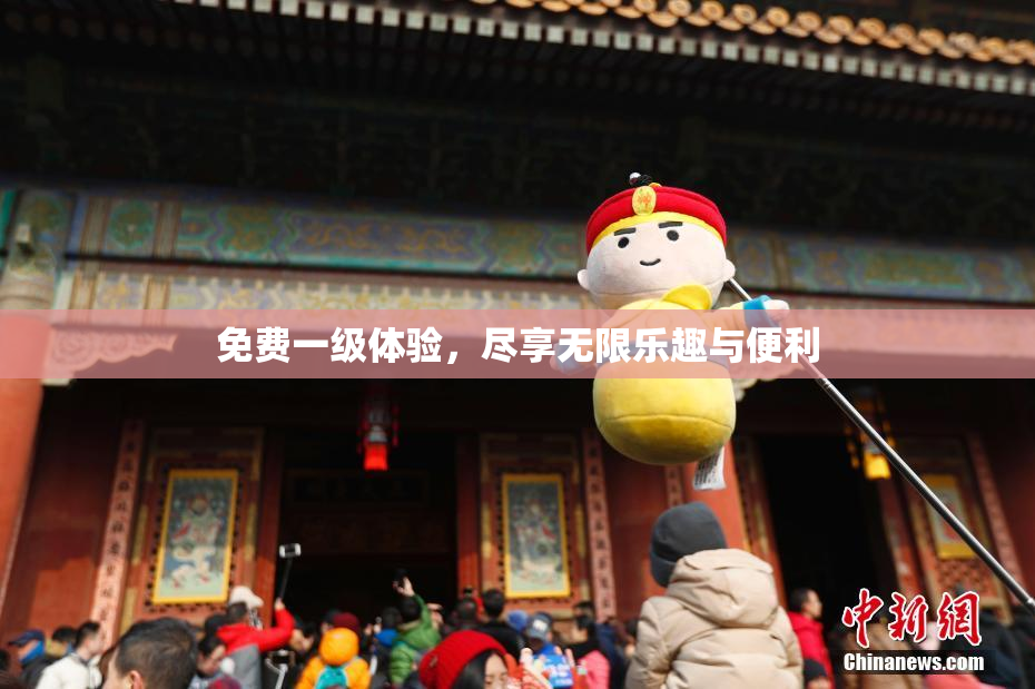 免费一级体验，尽享无限乐趣与便利