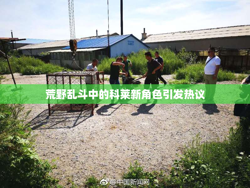 荒野乱斗中的科莱新角色引发热议