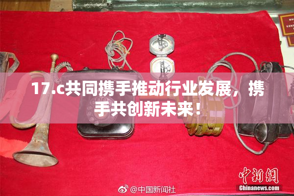 17.c共同携手推动行业发展，携手共创新未来！