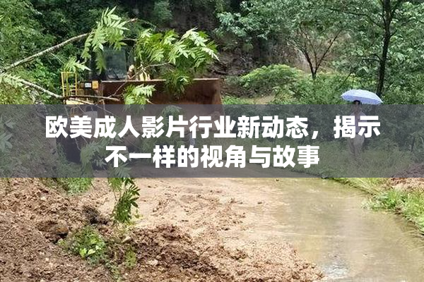 欧美成人影片行业新动态，揭示不一样的视角与故事