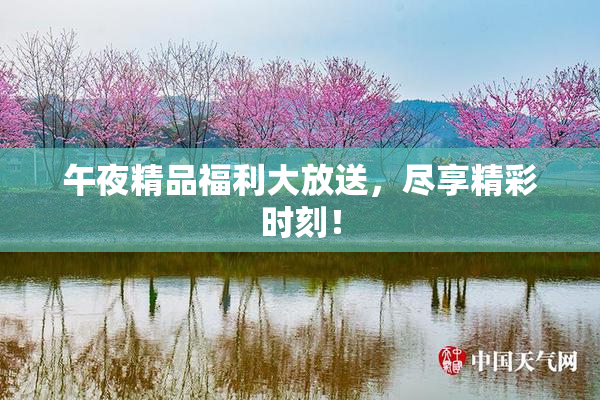 午夜精品福利大放送，尽享精彩时刻！