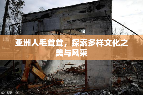 亚洲人毛耸耸，探索多样文化之美与风采