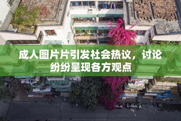 成人图片片引发社会热议，讨论纷纷呈现各方观点