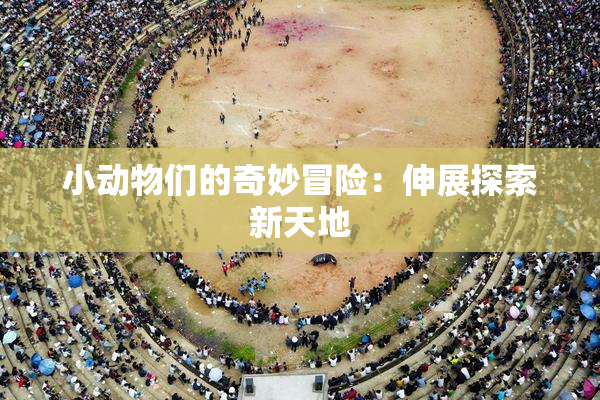 小动物们的奇妙冒险：伸展探索新天地
