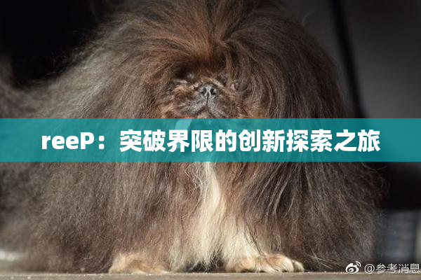 reeP：突破界限的创新探索之旅