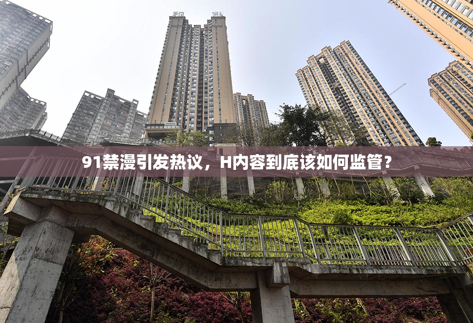 91禁漫引发热议，H内容到底该如何监管？